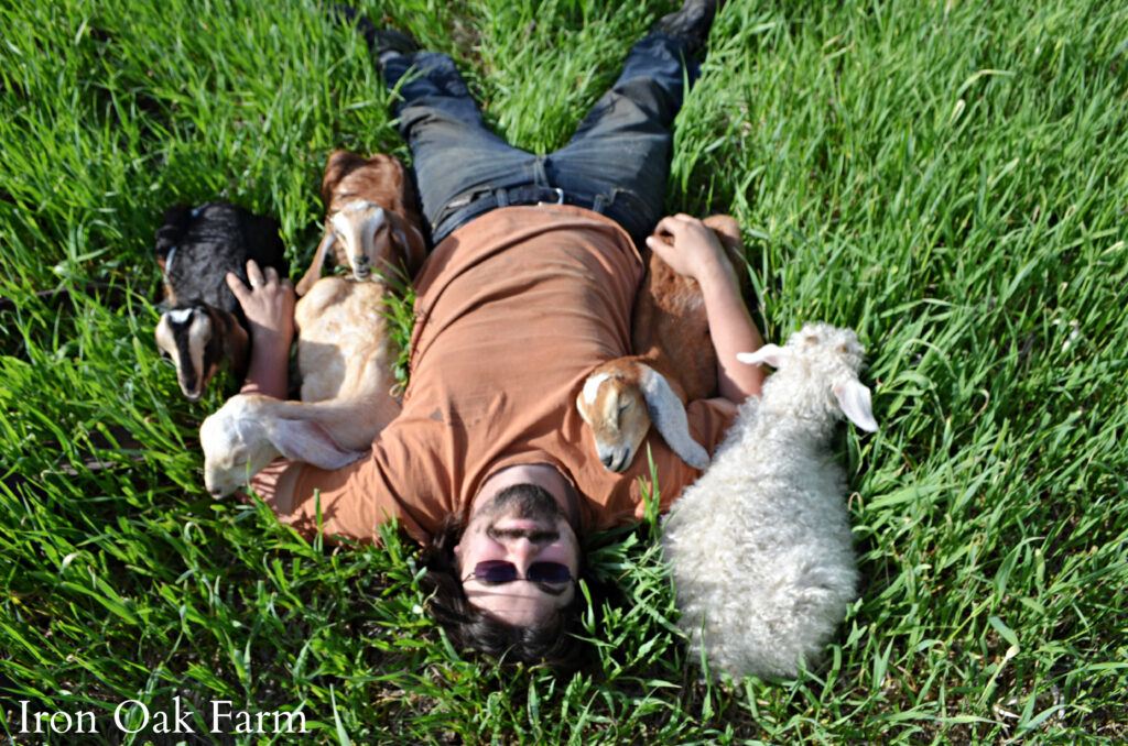 Man Laying with Goat Kids